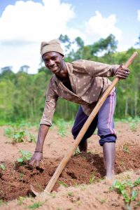 FAO is looking for a National Soil Fertility and Management Specialist FAO needs a soil specialist