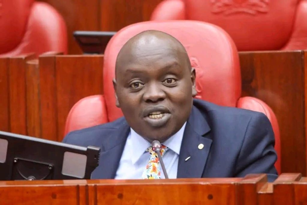 Nandi Senator Samson Cherargei asked the government to investigate NGOs for funding the protests. Credit | Kenya Times