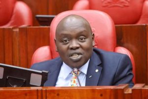 Cherargei Targets NGOs Amid Protest Storm: A Threat to Civil Liberties Nandi Senator Samson Cherargei asked the government to investigate NGOs for funding the protests. Credit | Kenya Times