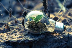 Emerging Climate Action Awards launched.