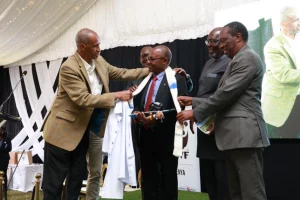 Credit | Citizen Digital